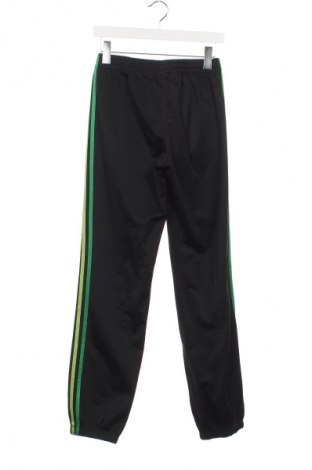 Pantaloni de trening, pentru copii Adidas, Mărime 15-18y/ 170-176 cm, Culoare Multicolor, Preț 62,99 Lei