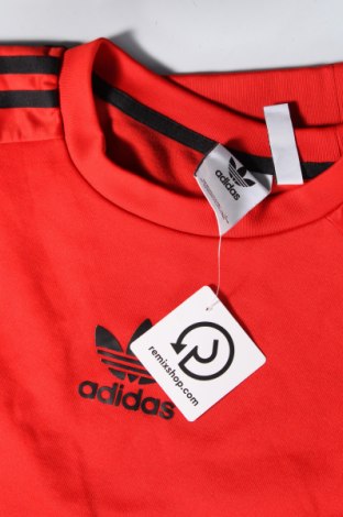 Ανδρική μπλούζα Adidas Originals, Μέγεθος XS, Χρώμα Κόκκινο, Τιμή 25,99 €