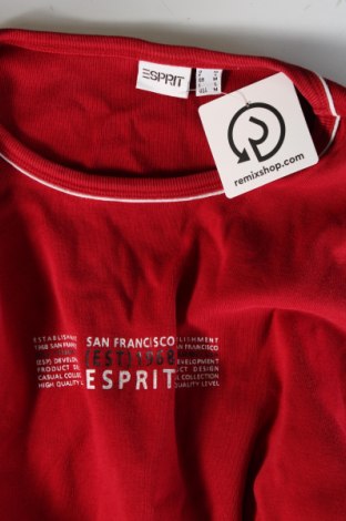 Herren Shirt Esprit, Größe M, Farbe Rot, Preis € 10,99