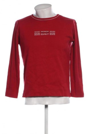 Herren Shirt Esprit, Größe M, Farbe Rot, Preis € 18,99