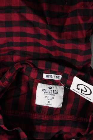 Herrenhemd Hollister, Größe M, Farbe Mehrfarbig, Preis € 23,99