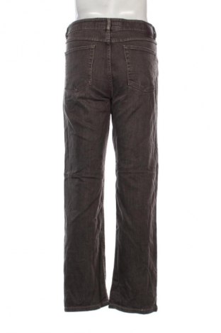 Herren Jeans Brax, Größe L, Farbe Braun, Preis 47,49 €