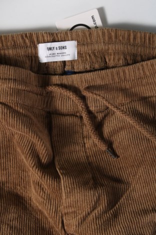 Herren Cordhose Only & Sons, Größe M, Farbe Braun, Preis € 11,99