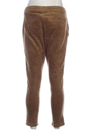 Herren Cordhose Only & Sons, Größe M, Farbe Braun, Preis € 11,99