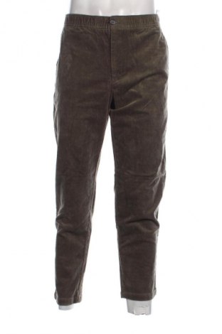 Herren Cordhose Zara, Größe XL, Farbe Grün, Preis 18,99 €