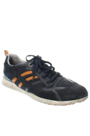 Herrenschuhe Geox, Größe 46, Farbe Blau, Preis 55,99 €