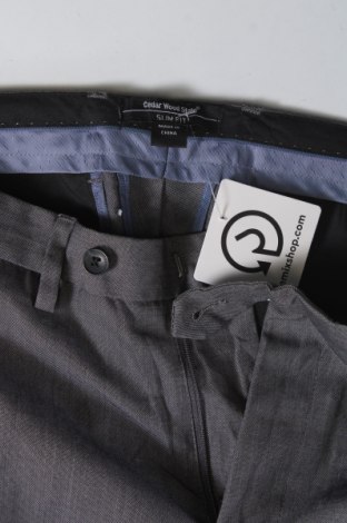 Herrenhose CedarWood State, Größe S, Farbe Grau, Preis € 9,99