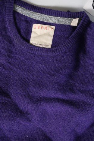 Herrenpullover Esprit, Größe XL, Farbe Lila, Preis 33,99 €