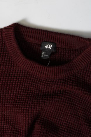 Herrenpullover H&M, Größe L, Farbe Rot, Preis € 24,99