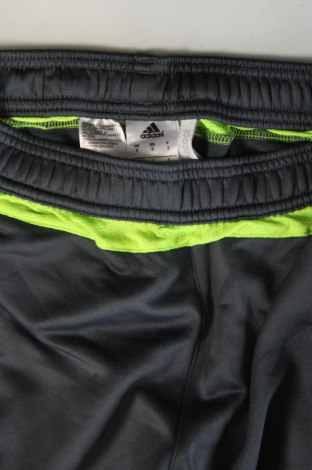 Ανδρικό αθλητικό παντελόνι Adidas, Μέγεθος S, Χρώμα Γκρί, Τιμή 29,99 €