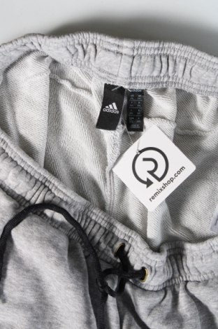 Pánske tepláky Adidas, Veľkosť XXL, Farba Sivá, Cena  23,45 €