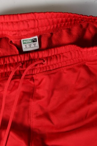 Herren Sporthose PUMA, Größe M, Farbe Rot, Preis € 33,99