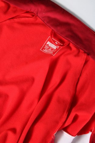 Herren Sportoberteil PUMA, Größe XL, Farbe Rot, Preis € 24,55