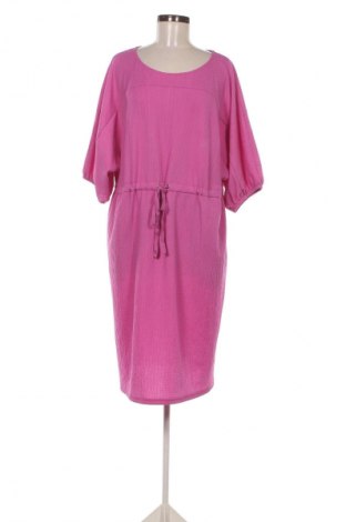 Kleid Bpc Bonprix Collection, Größe XL, Farbe Lila, Preis 15,00 €