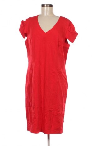 Kleid Caroline Biss, Größe XL, Farbe Rot, Preis 33,99 €