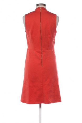 Kleid Closet London, Größe L, Farbe Orange, Preis 33,99 €