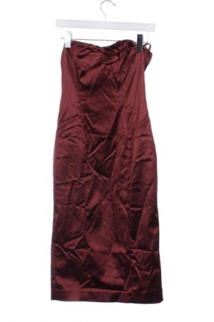 Kleid Coast, Größe M, Farbe Braun, Preis 33,99 €