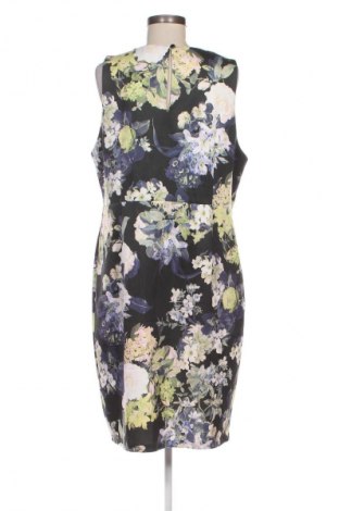 Rochie Dorothy Perkins, Mărime XXL, Culoare Multicolor, Preț 88,99 Lei