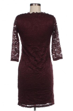 Kleid Laura Di Sarpi, Größe S, Farbe Braun, Preis 20,49 €