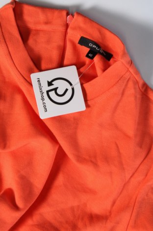 Kleid Opus, Größe M, Farbe Orange, Preis € 57,49