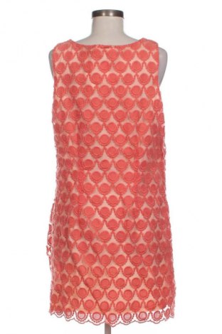 Kleid Papaya, Größe XL, Farbe Rosa, Preis € 14,83