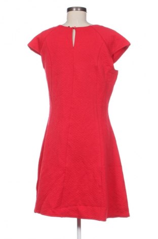 Kleid Pota, Größe L, Farbe Rot, Preis 11,49 €