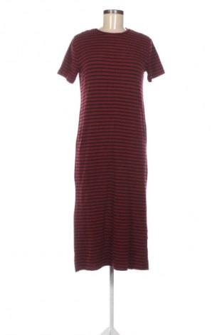 Kleid Zara Trafaluc, Größe M, Farbe Mehrfarbig, Preis 33,99 €