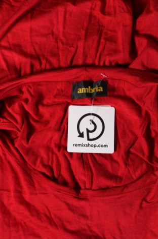 Tunika Ambria, Größe M, Farbe Rot, Preis € 27,49