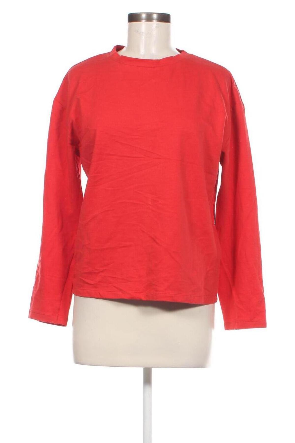 Damen Shirt Dima, Größe L, Farbe Rot, Preis € 13,49