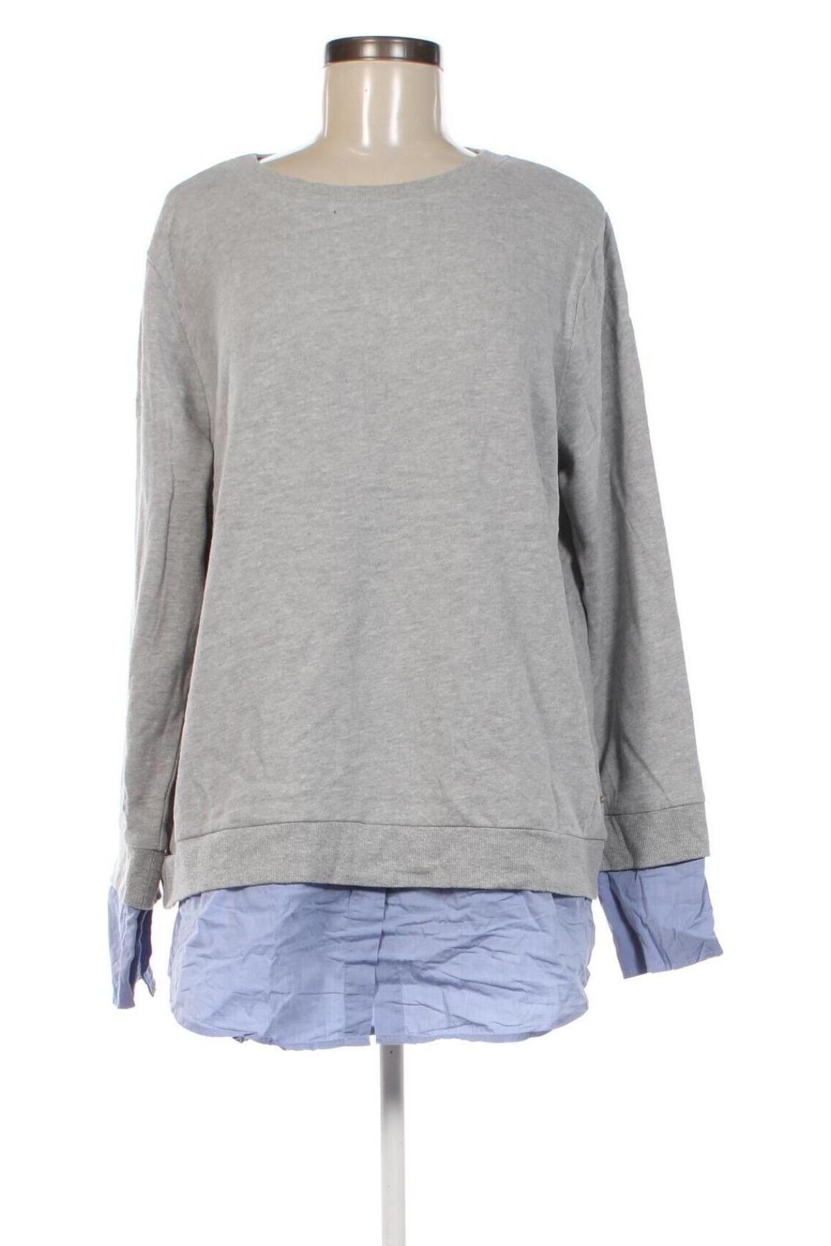 Damen Shirt Hampton Republic, Größe L, Farbe Grau, Preis 23,99 €