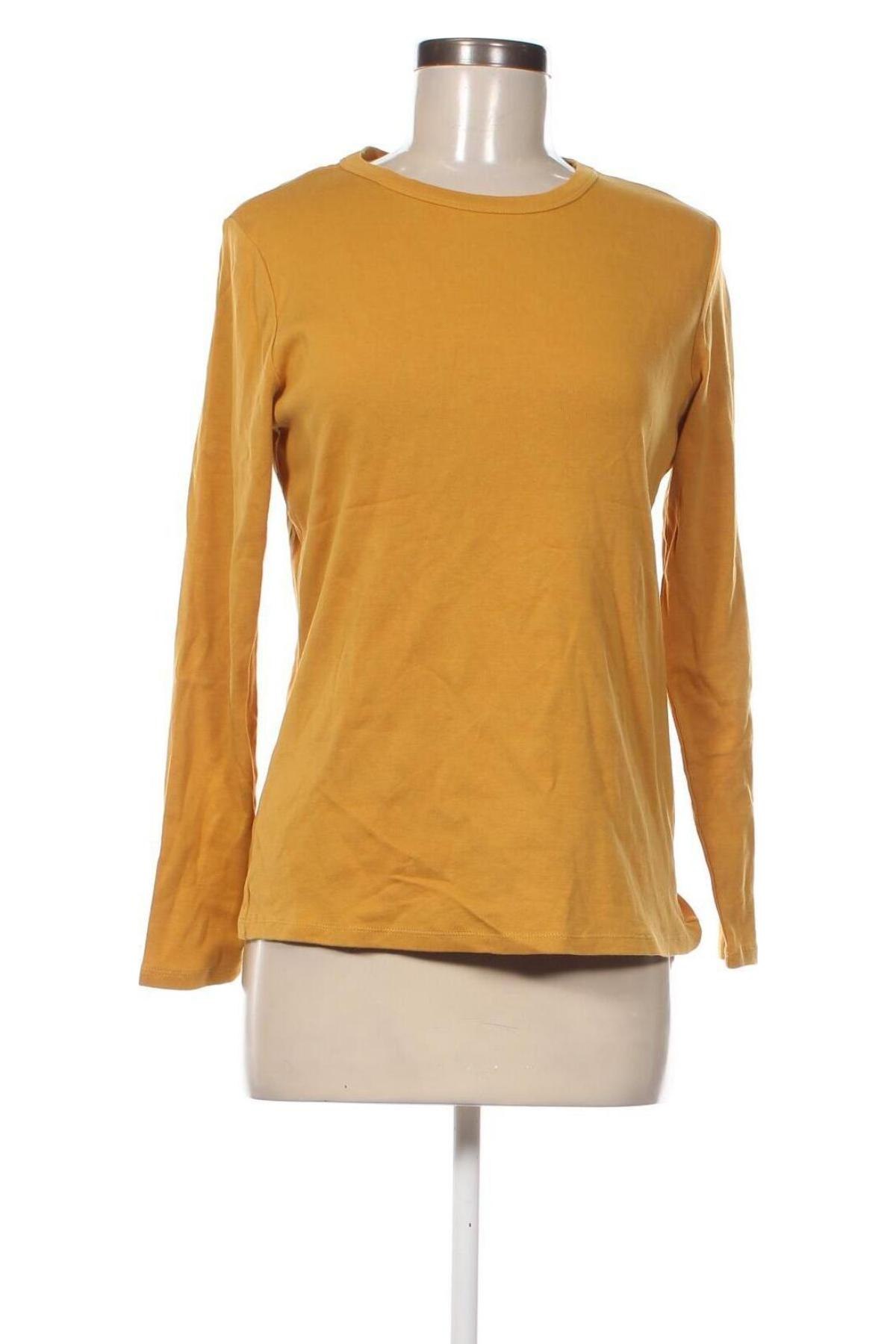 Damen Shirt Oviesse, Größe XL, Farbe Orange, Preis 13,49 €