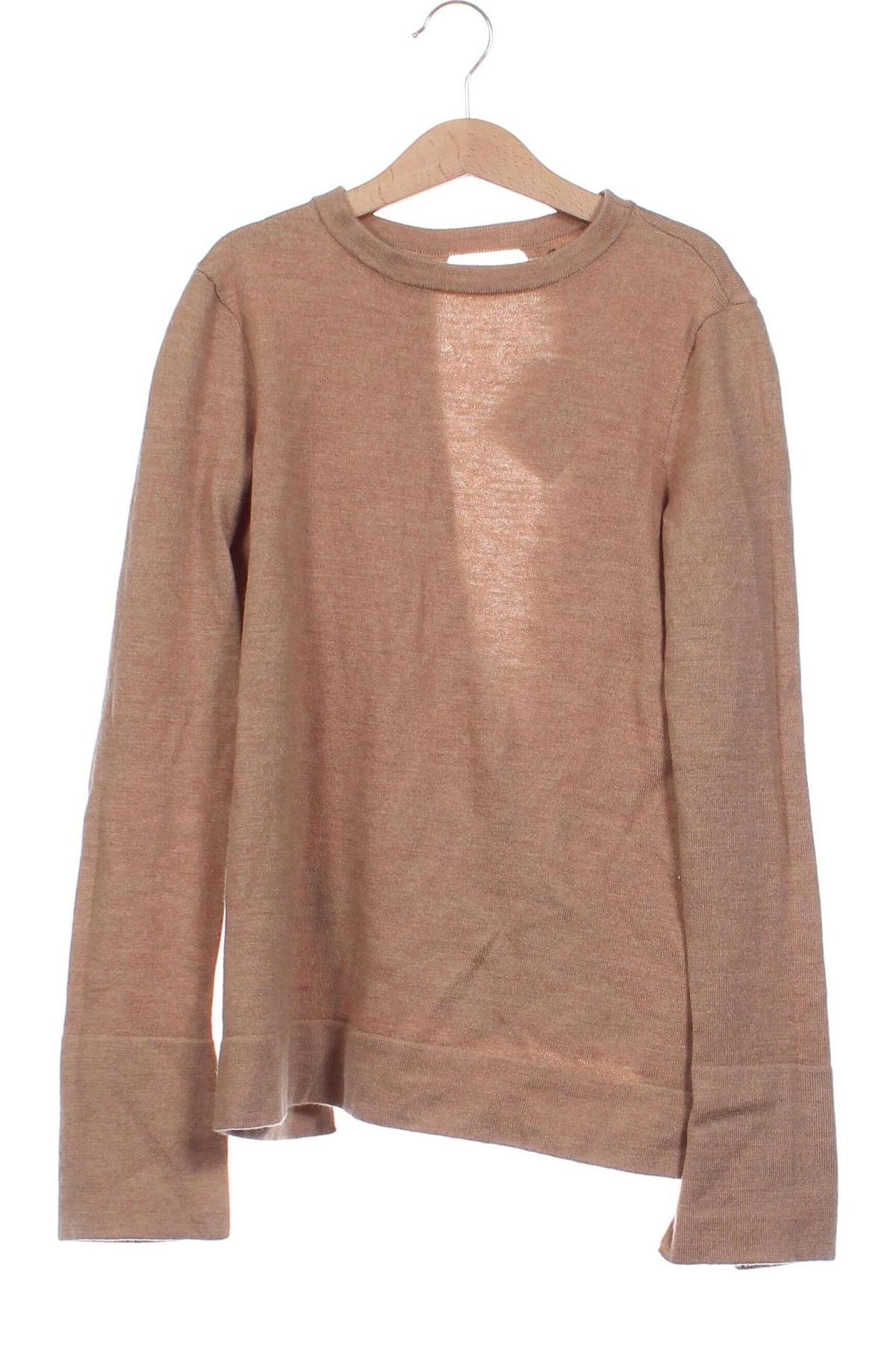 Damenpullover BCBG Max Azria, Größe XXS, Farbe Braun, Preis € 71,99