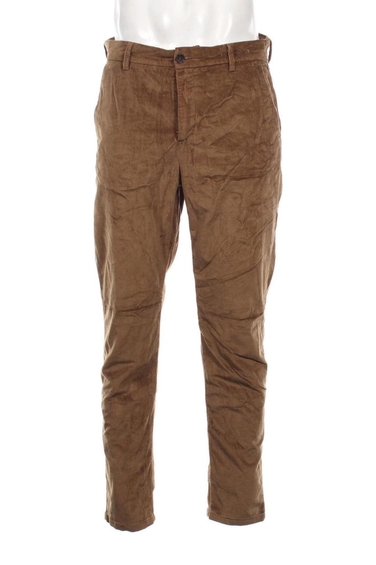 Herren Cordhose Van Gils, Größe L, Farbe Grün, Preis € 24,49