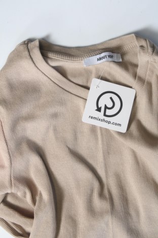 Damen Shirt About You, Größe XS, Farbe Beige, Preis 10,23 €