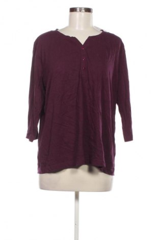 Γυναικεία μπλούζα Adagio, Μέγεθος XL, Χρώμα Βιολετί, Τιμή 8,99 €