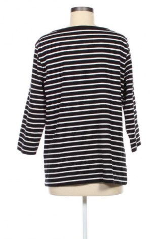 Dámská halenka Adagio, Velikost XL, Barva Vícebarevné, Cena  169,00 Kč