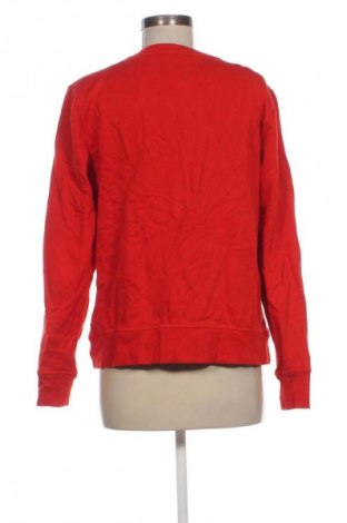 Bluzka damska Amazon Essentials, Rozmiar M, Kolor Czerwony, Cena 27,99 zł