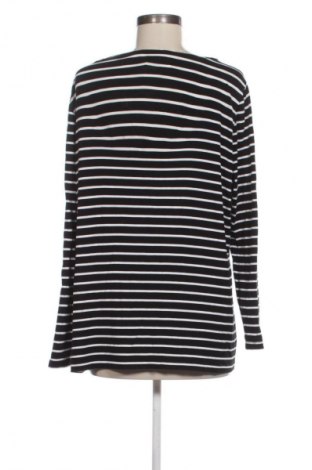 Damen Shirt Betty Barclay, Größe XXL, Farbe Mehrfarbig, Preis 24,99 €