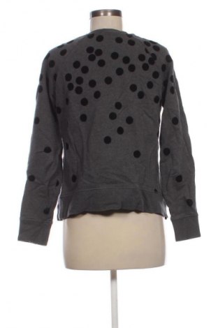 Damen Shirt Boden, Größe S, Farbe Mehrfarbig, Preis € 14,99