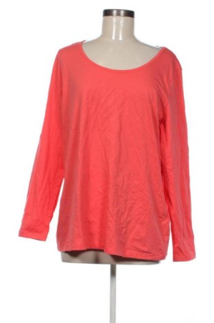 Γυναικεία μπλούζα Bpc Bonprix Collection, Μέγεθος XXL, Χρώμα Κόκκινο, Τιμή 9,99 €