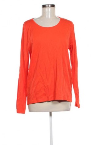 Damen Shirt Cecil, Größe XL, Farbe Orange, Preis € 11,99