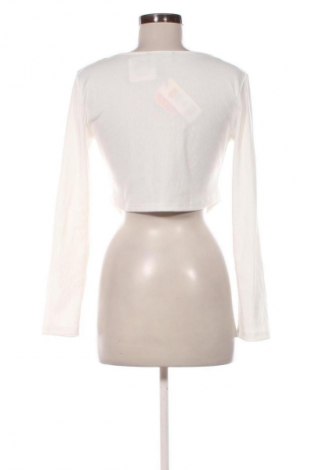 Damen Shirt Cider, Größe XL, Farbe Weiß, Preis 15,86 €