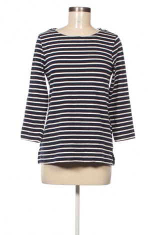 Bluzka damska Editor's Cut, Rozmiar M, Kolor Kolorowy, Cena 83,99 zł