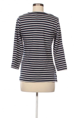 Bluzka damska Editor's Cut, Rozmiar M, Kolor Kolorowy, Cena 83,99 zł