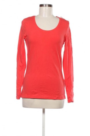 Damen Shirt Esmara, Größe L, Farbe Rot, Preis 5,99 €