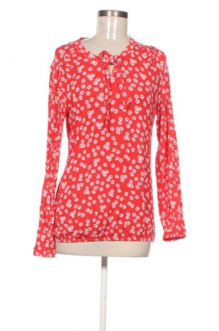 Damen Shirt Essentials by Tchibo, Größe S, Farbe Mehrfarbig, Preis € 5,99