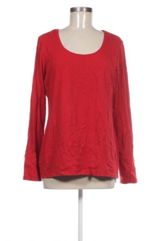 Γυναικεία μπλούζα Etam, Μέγεθος XXL, Χρώμα Κόκκινο, Τιμή 8,99 €