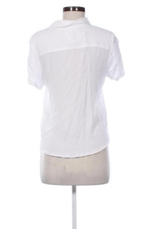 Damen Shirt Fb Class, Größe M, Farbe Weiß, Preis € 8,99
