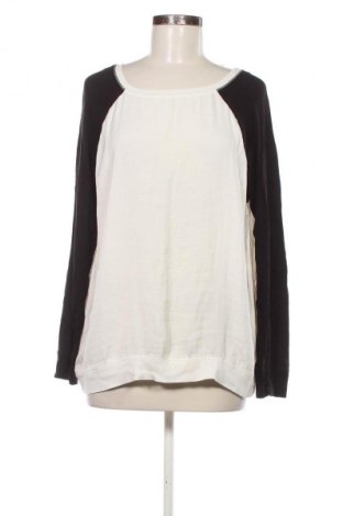 Damen Shirt Gap, Größe L, Farbe Mehrfarbig, Preis 10,23 €