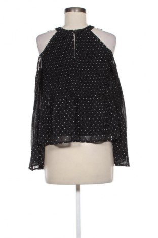 Damen Shirt Hollister, Größe XS, Farbe Mehrfarbig, Preis € 5,99